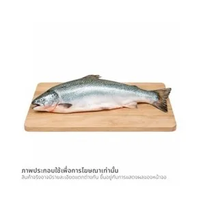วี อาร์ เฟร็ช ปลาแซลมอนนอร์เวย์ 1 ตัว (ขนาด 4-6 กก.)