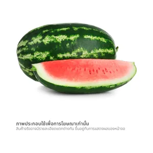 แตงโมซอนญ่า