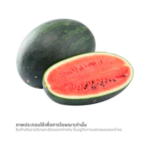 แตงโมตอปิโด